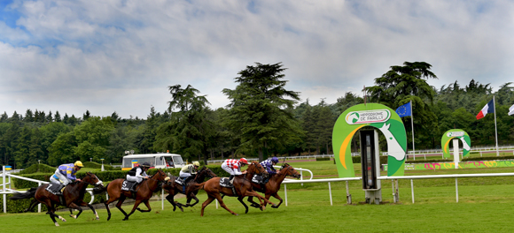 14. La deuxième course de l’après midi 