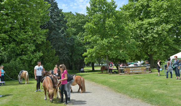 37. Baptême de Poneys 