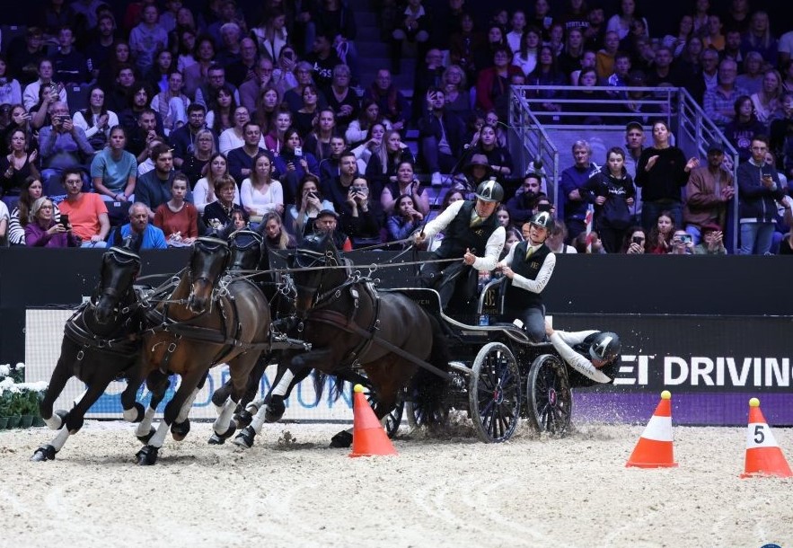 Salon Equita Lyon 2024. The place to be de l’équitation